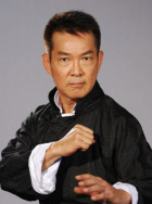 导演王子鸣携主演李连杰、文章、刘诗诗、陈妍希、柳岩和监制崔宝珠等人现身。
